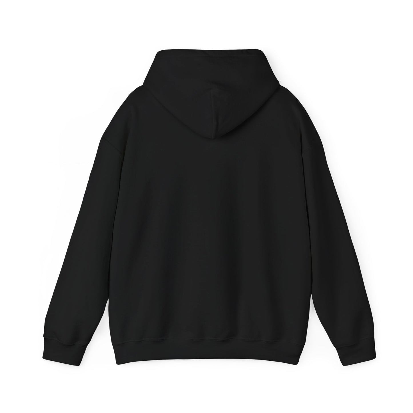 LOUUZIS INVISIBLE MAN HOODIE